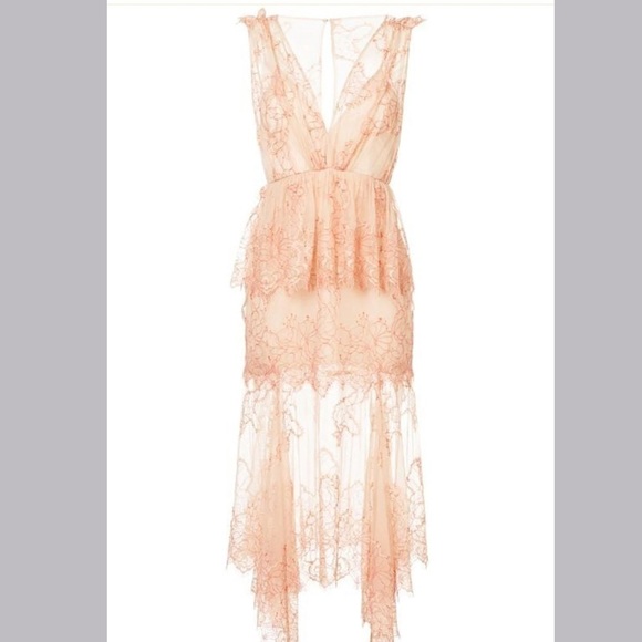 Alice Mccall Celemtine Lace Peplum Tiered Gown Pink 4 - Picture 4 of 14